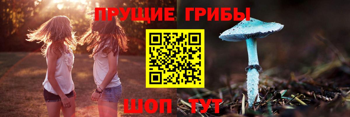 Галлюциногенные грибы GOLDEN TEACHER  Псилоцибиновые грибы Psilocybine cubensis  Вход с VPN  Химки 